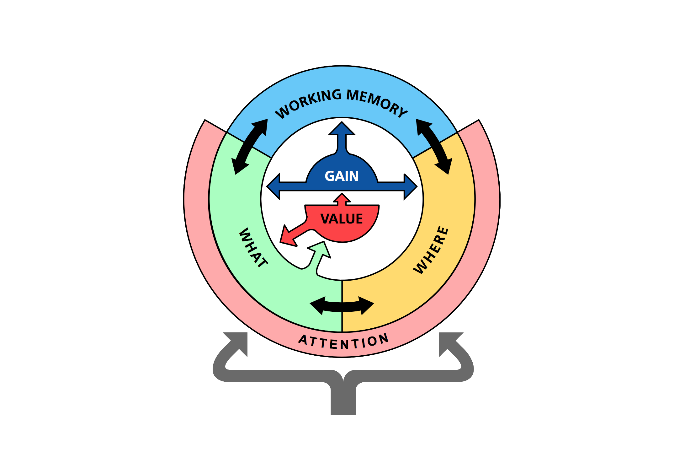 Example diagram in cognitive modelling. Circular diagram on a black background, showing interconnected zones: "Working Memory" in blue, "What" in green, "Where" in yellow, centered around "Gain" and "Value" in red. Arrows indicate flow and interaction.